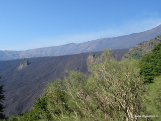 nte Rinatu-15-09-2019 10-08-52